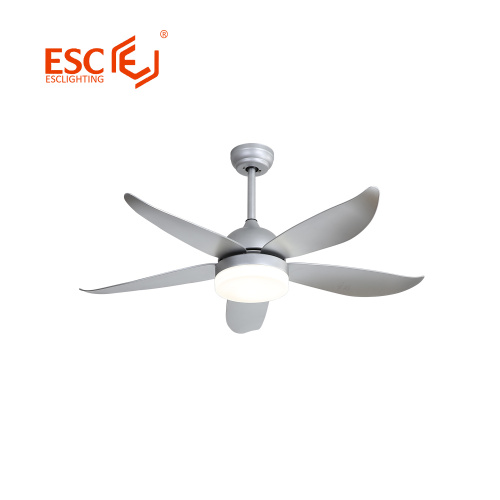 How to choose ceiling fan lighting when decorating home?