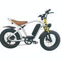 M6 Electric Bike Motorcycle