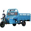 Customize 1200W Electric Cargo Tricycle - China Hot Sale 3-Wheel Electric Cargo Vehicle1
