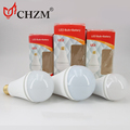 Cheap Emergency Light: High Quality Lithium Battery Indoor E27/B22 9W/12W/15W1