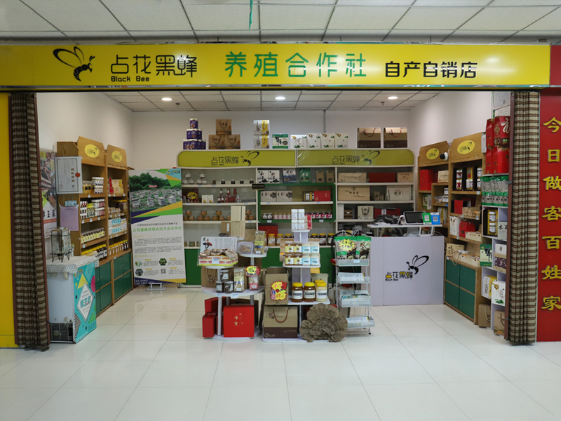 Farmers' Cooperative of Zhanhua bee breeding in Luobei County