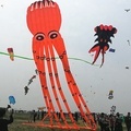 Giant Inflatable Octopus Kite: 3D Animal Shape with Perfect Performance1