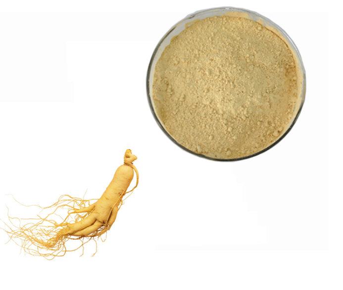 Ginseng Extract Png