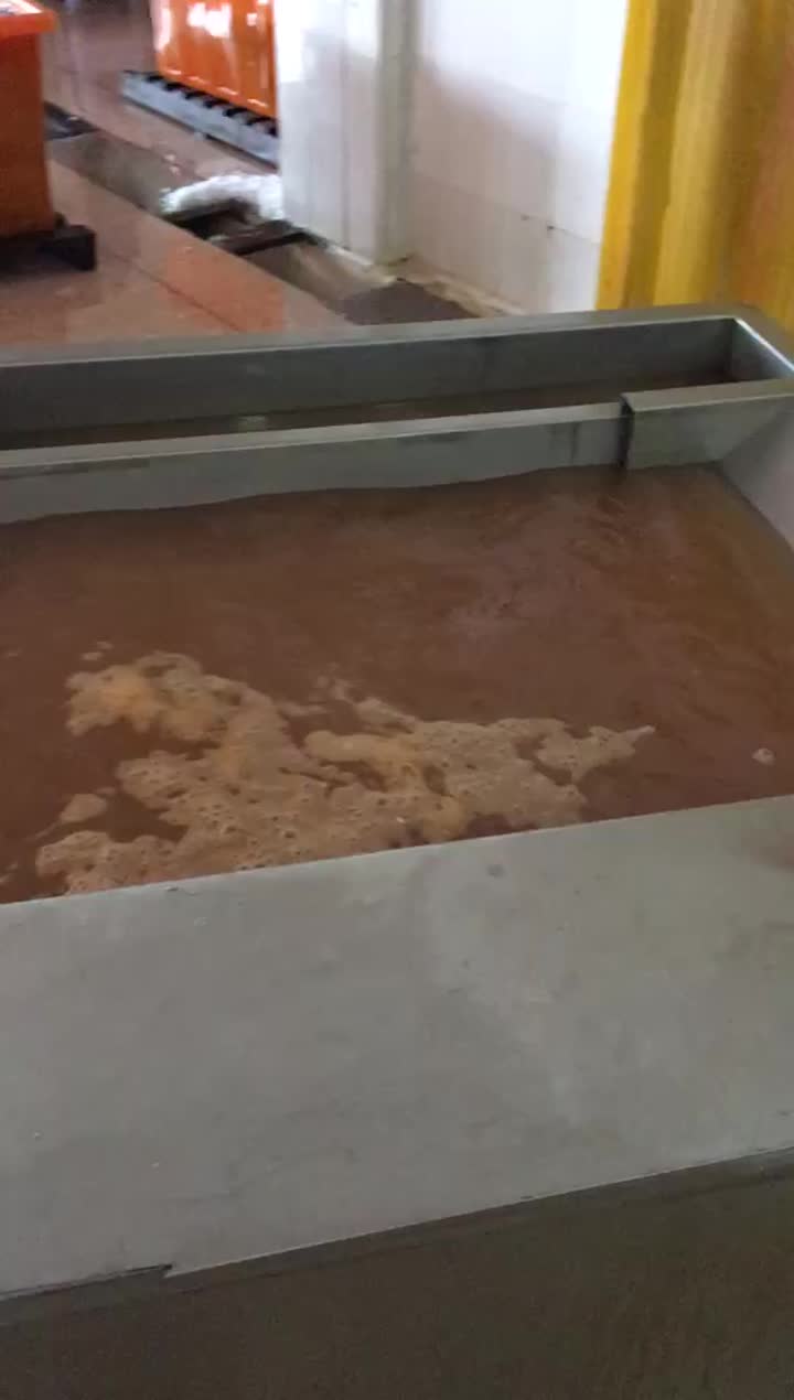 shrimp washing and then grading