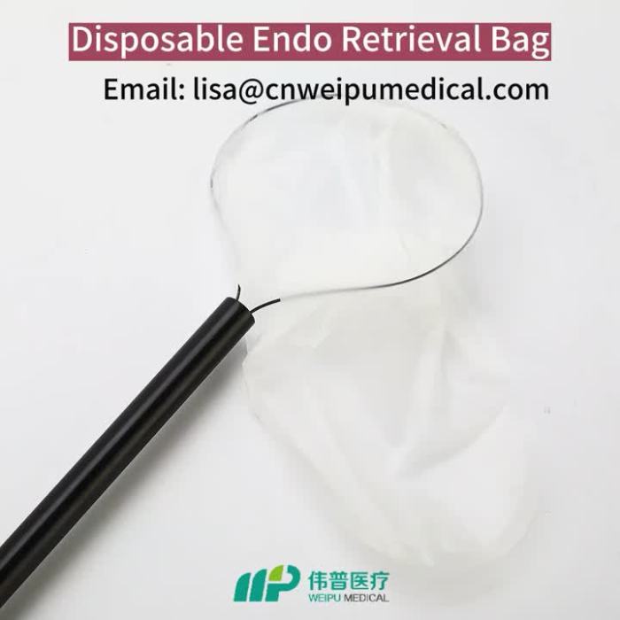 Disposable Endo Retrieval Bag