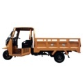 200cc Water-Cooled Gasoline Engine Three-Wheel Cargo Tricycle with Cabin1