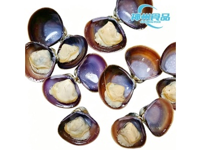 Huai'an Shenzhou Food Technology bringt hochwertiges, schnell gefrorenes Muschelfleisch für Meeresfrüchte-Käufer auf der ganzen Welt auf den Markt