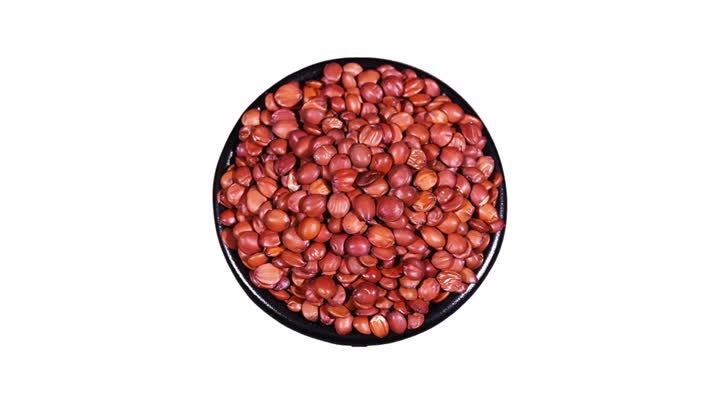 Spine Date Seed