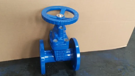 Vanne de porte de joint soupape industrielle Valve de vidange1