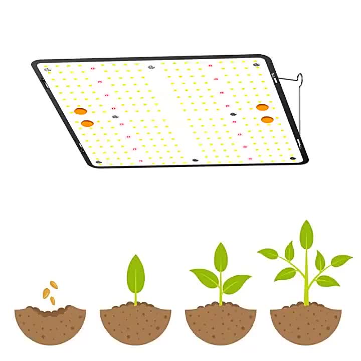 Luz de cultivo LED de 300W