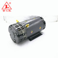 24 Volt Electric DC Carbon Brush Motor για περόνη