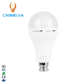 2020 Hot Sale Rechargeable LED Bulb 7W/9W - Emergency Light for Home & Camping1