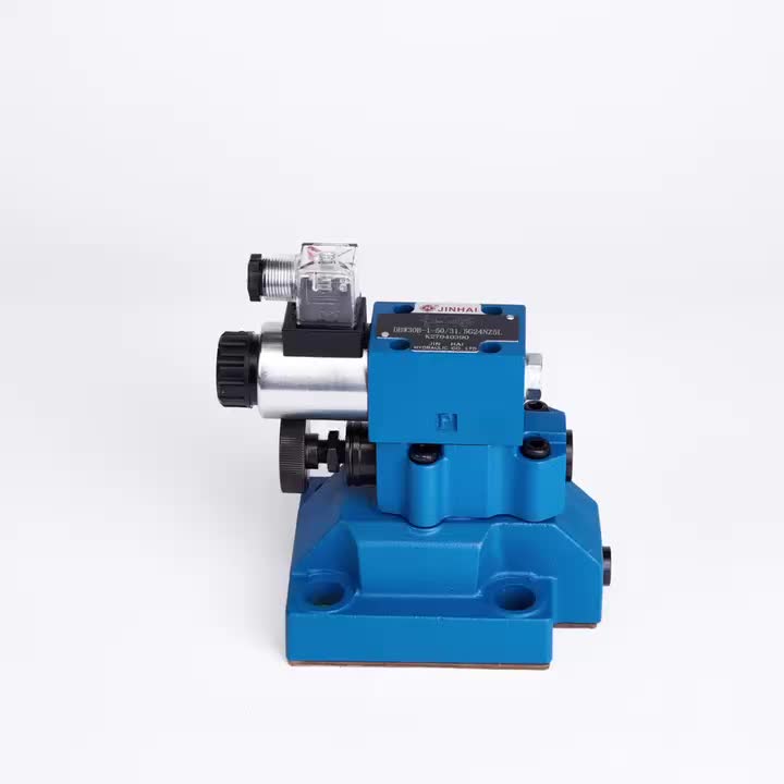 DBW30B pilot relief valve