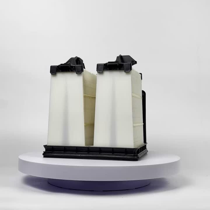 Сотавы паветраны фільтр кампрэсара 6001852810