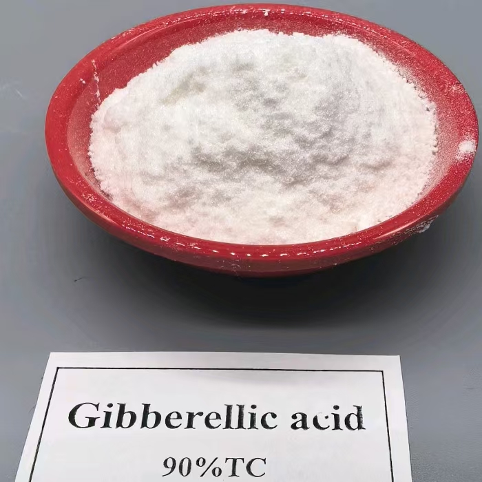 กรดจิบเบอเรลลิก GA-3 40% - สารควบคุมการเจริญเติบโตของพืช - สารกระตุ้นทางชีวภาพ
