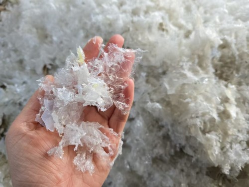 ¡Recicla plásticos! ¡Protege este mundo!