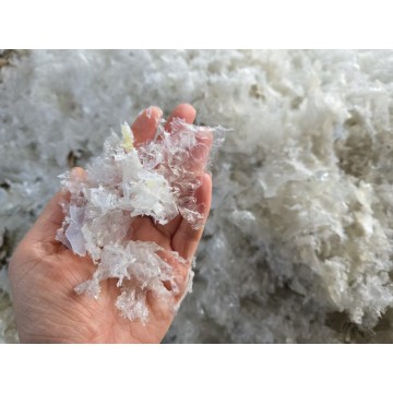 ¡Recicla plásticos! ¡Protege este mundo!