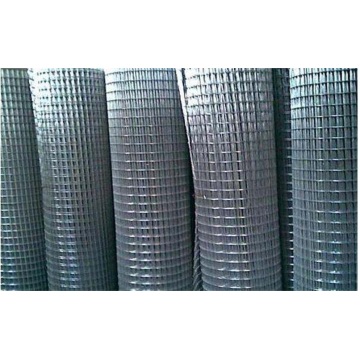 China Top 10 Electro Galvanized Welded Wire Mesh Potential Enterprises