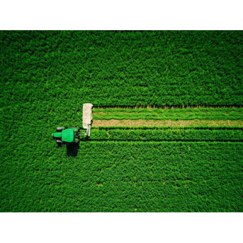 Indústria global de cortadores de grama em 2026: Navegação autônoma de IA e eletrificação total redefinem o paisagismo residencial e comercial