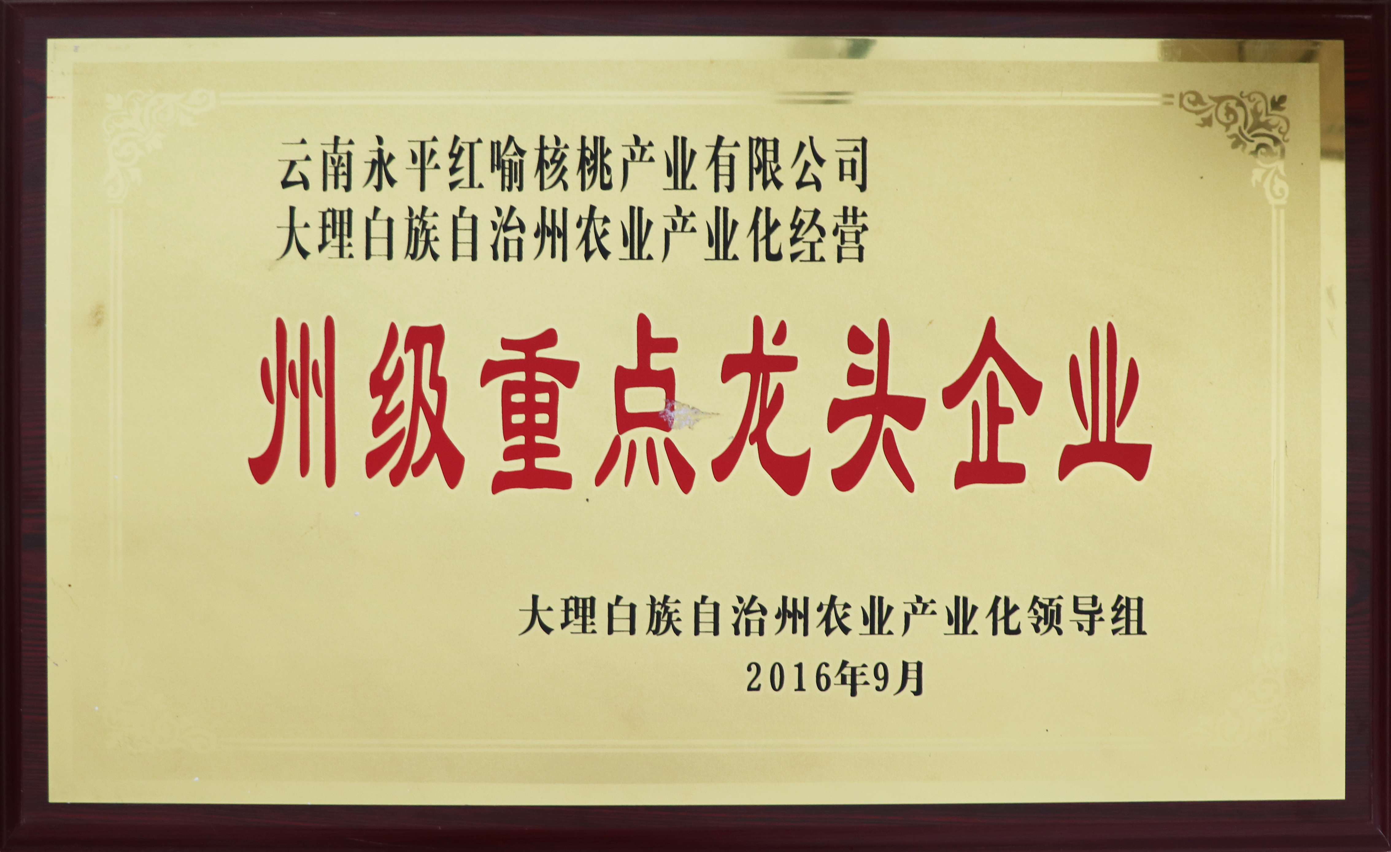 Prefecture-level Key Leading Enterprise