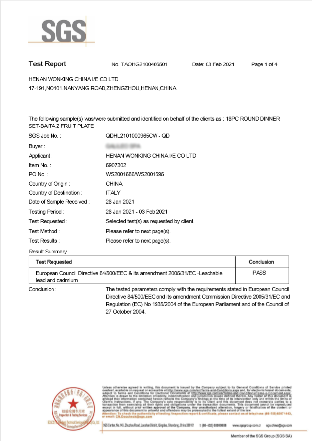 SGS Test Report