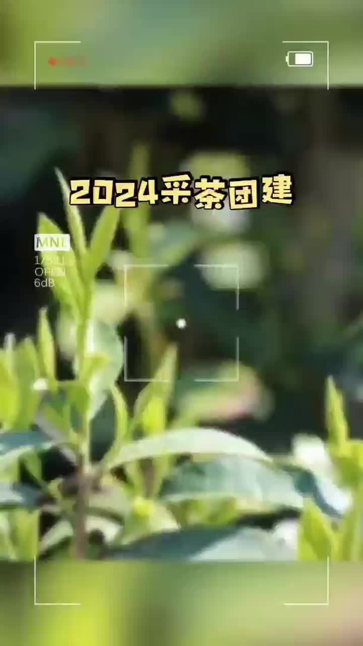 Video za izgradnju grupe