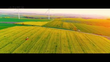 High-standard farmland project case