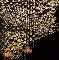 Wedding Decoration Chandeliers: Crystal, Plastic, Acrylic Flying Bird Hight Ceiling Lamps1