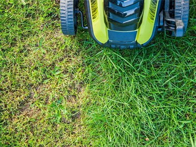 Mercado mundial de cortadoras de césped de empuje manual de dos ruedas 2026: crecimiento impulsado por la conciencia ecológica, la demanda compacta y las actualizaciones de productos