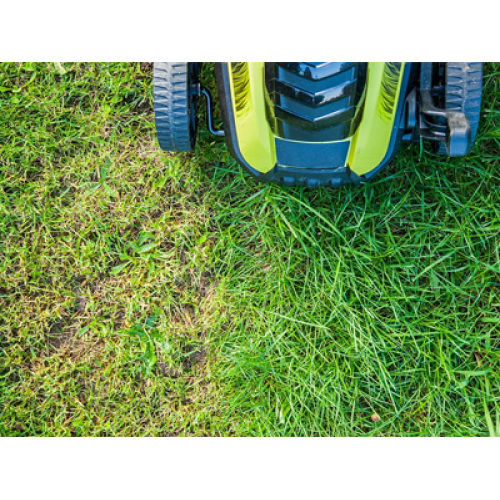 2026 Küresel İki Tekerlekli Manuel İtmeli Çim Biçme Makinesi Pazarı: Çevre Bilinci, Kompakt Talep ve Ürün Yükseltmeleri ile Desteklenen Büyüme