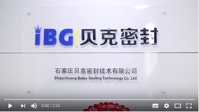 Shijiazhuang Beike Sealing Technology Co., Ltd.