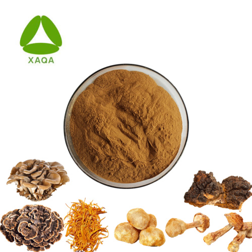 Super Food Powder Mushroom Extract Blend Σύσταση ειδήσεων