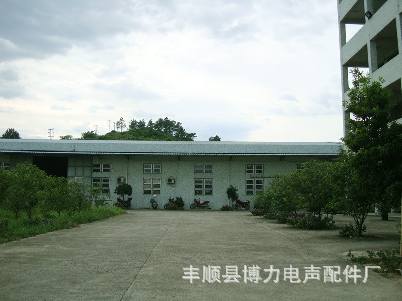 Fengshun County Boli Electroacoustic Co., Ltd.