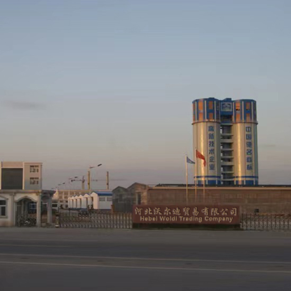 Hebei Woldi Trading Co.,LTD
