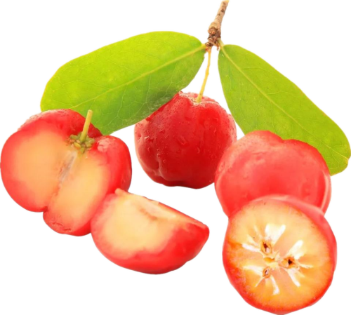Markt heißer Verkaufsnahrung Ergänzung natürlicher Acerola -Kirsch -Extrakt Vitamin C.