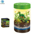 DIY Dino Light-up Green Terrarium Kit: Preschool Learning and Science Education Toy for Kids1