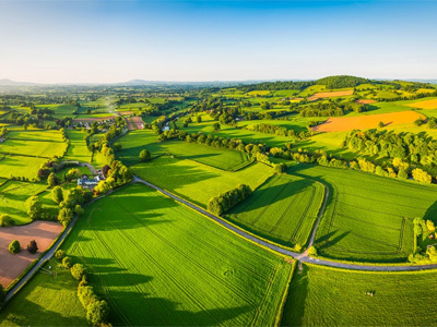 Marché de l’ail 2026 : la recherche révolutionnaire en matière de santé et l’évolution de la chaîne d’approvisionnement mondiale stimulent la croissance