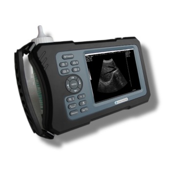 List of Top 10 Handheld Ultrasound Scanner Brands Popular in European and American Countries