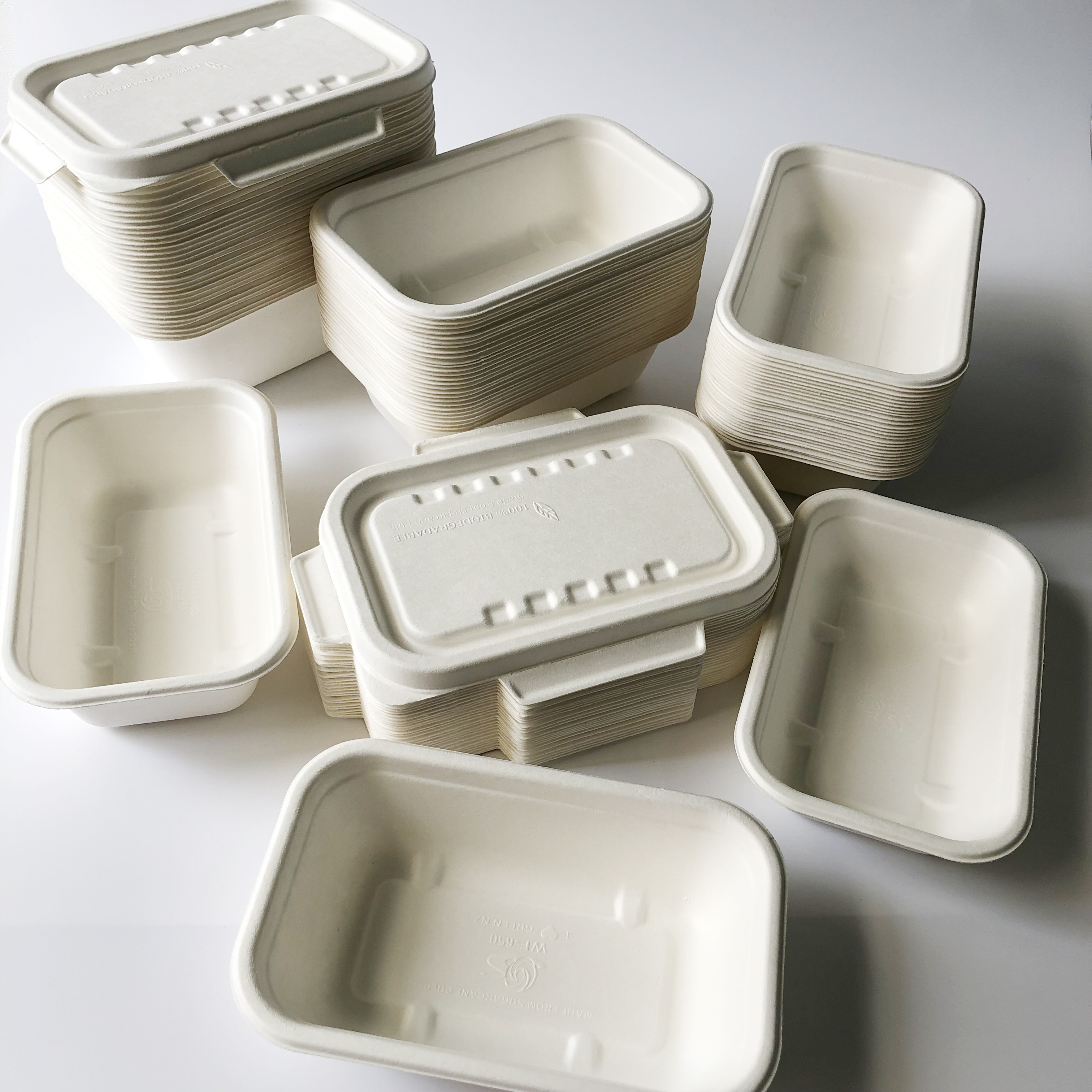 Bagasse container serie egp450ml 500ml 650 ml 750ml1000