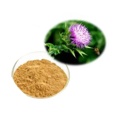 What do you know about organic milk thistle extract?