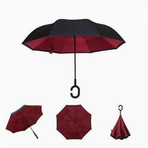 Dévoiler l'élégance du parapluie du jardin