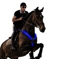 High Quality USB Rechargeable LED Horse Breastplate1