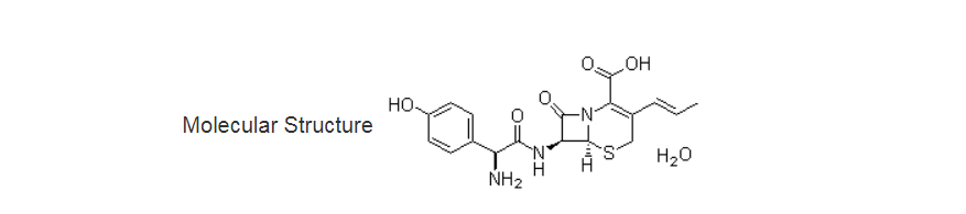 Cefprozil hydrate02