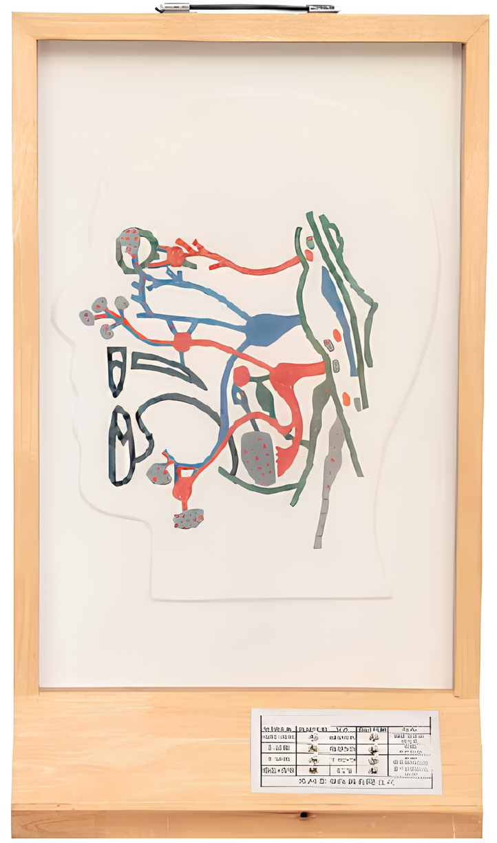 Brain parasympathetic nerve electric model