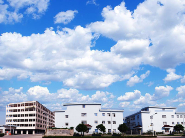 Factory Introduction