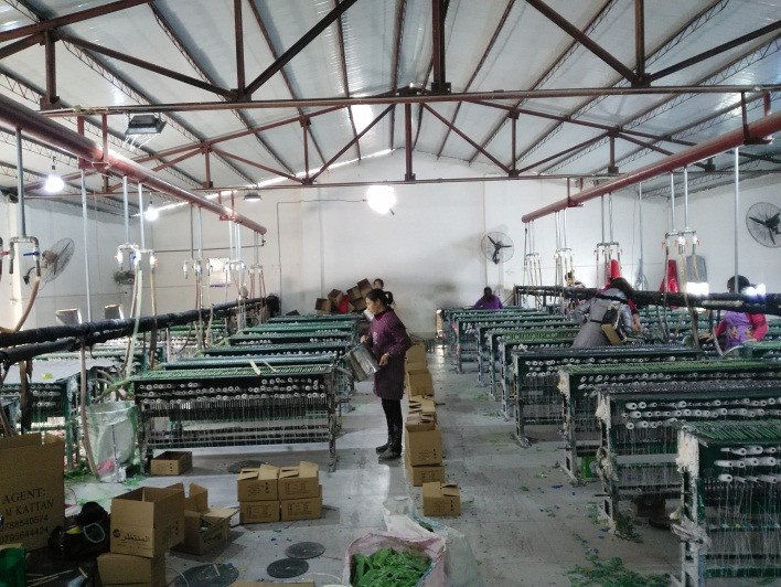 Aoyin xingtang candle co.,ltd