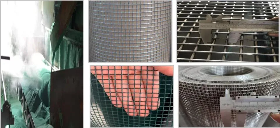 PVC Coated Galvanized Welded Mesh Euro Fence Wire Roll 1.7/2.2mm 100X50mm Netting Gardening Courtyard Park Soft Green Grey Color