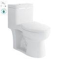 Western Modern Style Cupc Certified One-Piece Bathroom Toilet Bowl1