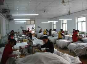 Shijiazhuang Tidy Fashion Trading Co.,Ltd