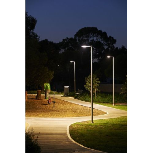 Wie LED -Straßenlaternen das Wachstum von Outdoor -Anlagen beeinflussen